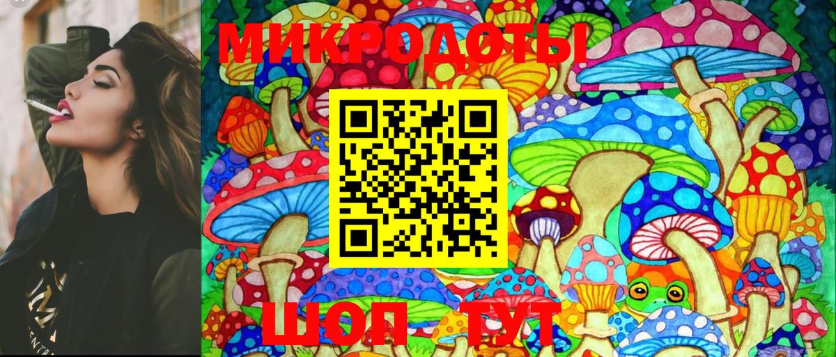 Чита  Псилоцибиновые грибы мухоморы  Вход с VPN  Галлюциногенные грибы MAGIC MUSHROOMS 